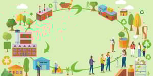 Cadenas de Valor Circulares: Optimizando cada eslabón