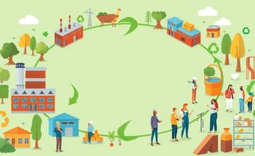 Cadenas de Valor Circulares: Optimizando cada eslabón